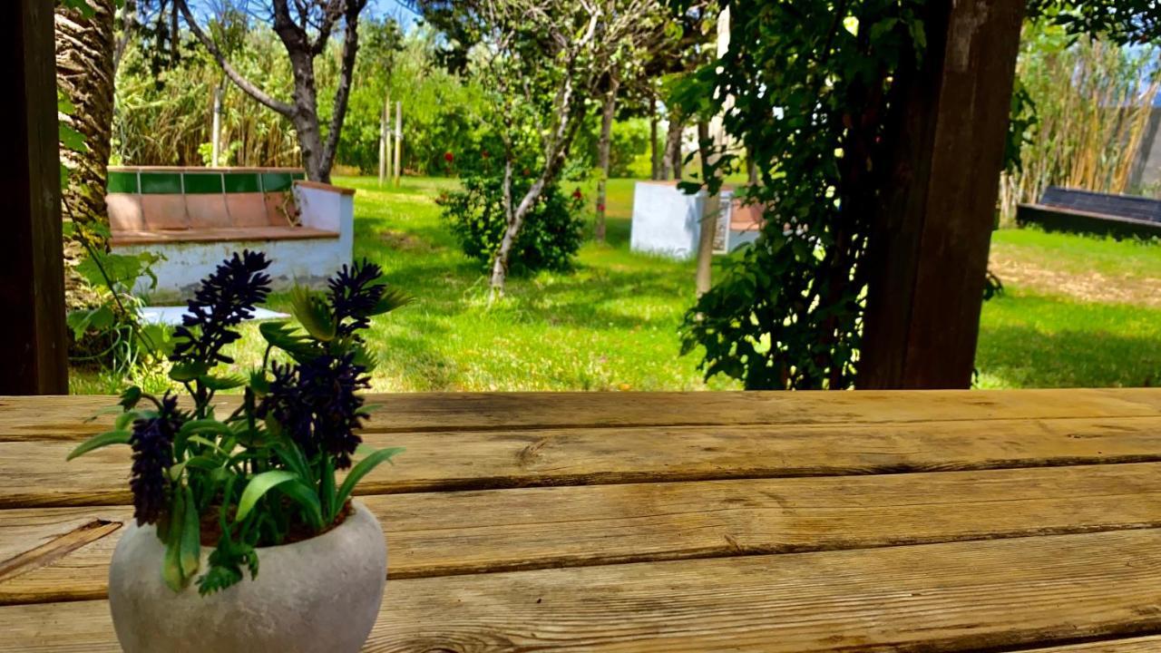 Готель Banti Garden Таріфа Екстер'єр фото
