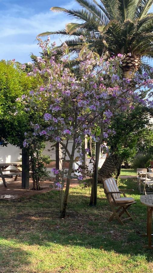 Готель Banti Garden Таріфа Екстер'єр фото